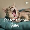 undefined Consejos Para Gatos🐱